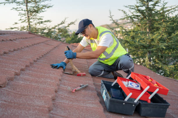 Best Roof Gutter Cleaning  in Apison, TN